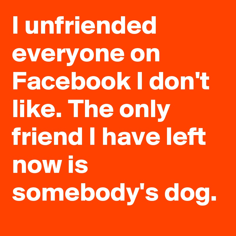 I unfriended everyone on Facebook I don't like. The only friend I have left now is somebody's dog.