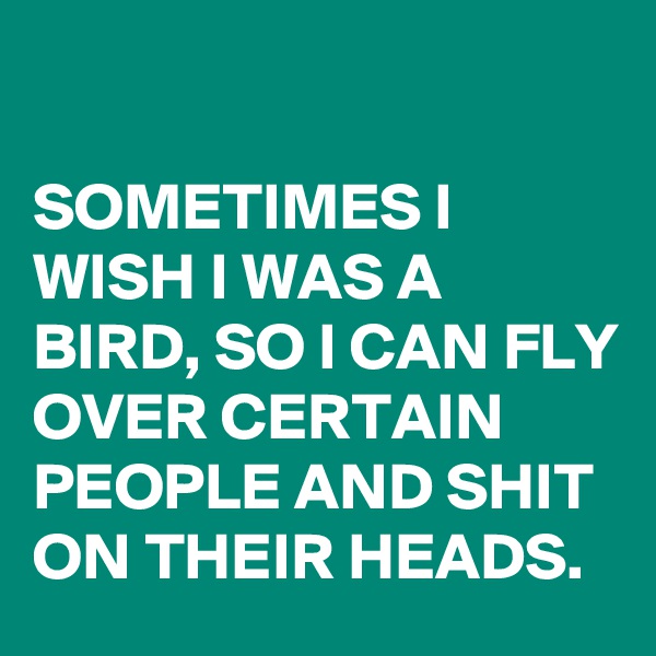                                                               SOMETIMES I WISH I WAS A BIRD, SO I CAN FLY OVER CERTAIN PEOPLE AND SHIT ON THEIR HEADS.