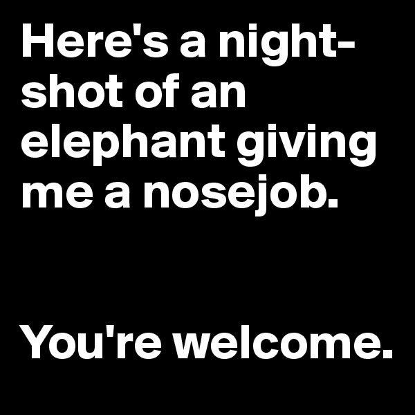 Here's a night-shot of an elephant giving me a nosejob. 


You're welcome.