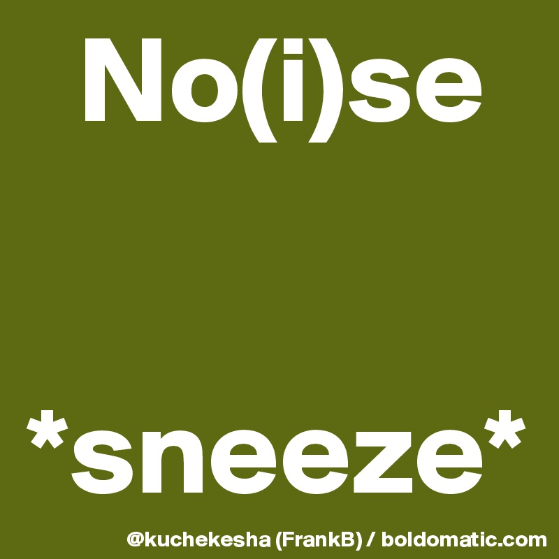   No(i)se

              *sneeze*