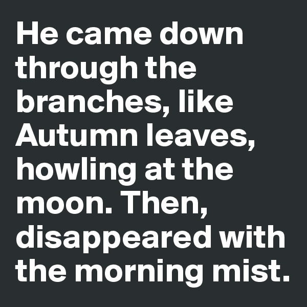 He came down through the branches, like Autumn leaves, howling at the moon. Then, disappeared with the morning mist.