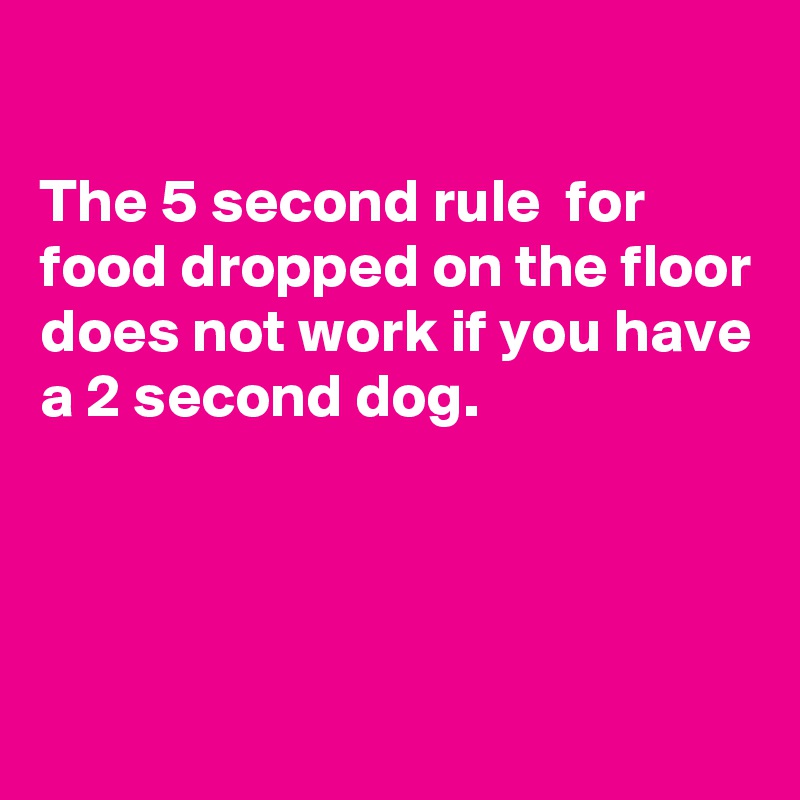 

The 5 second rule  for food dropped on the floor does not work if you have a 2 second dog. 




