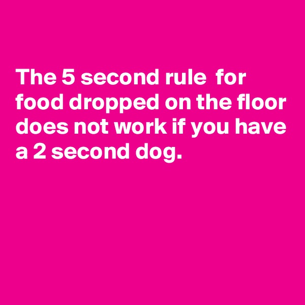 

The 5 second rule  for food dropped on the floor does not work if you have a 2 second dog. 





