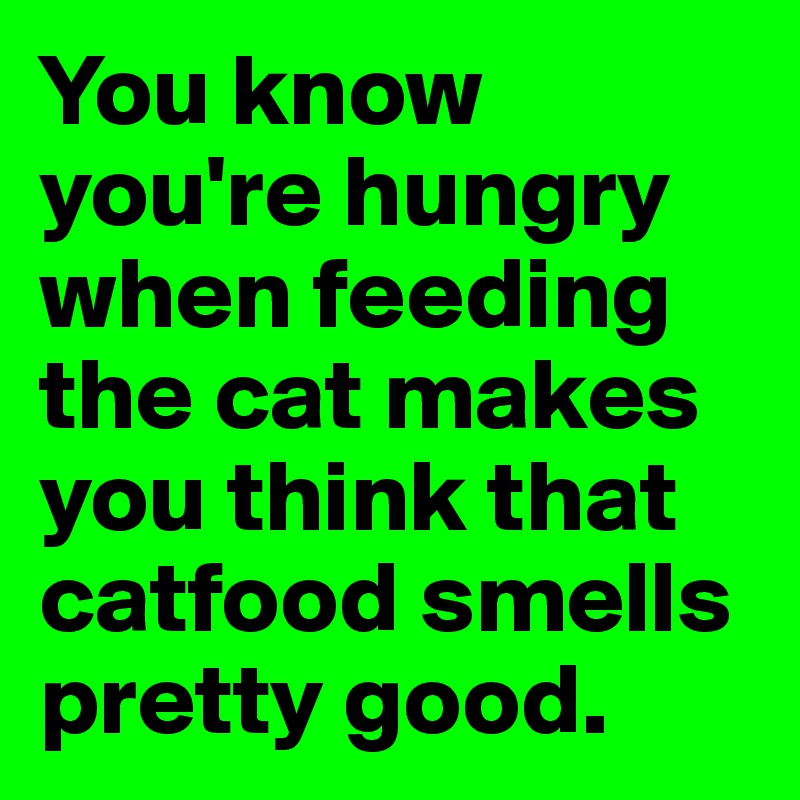 You know you're hungry when feeding the cat makes you think that catfood smells pretty good. 