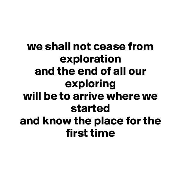 

we shall not cease from exploration
and the end of all our exploring
will be to arrive where we started
and know the place for the first time



