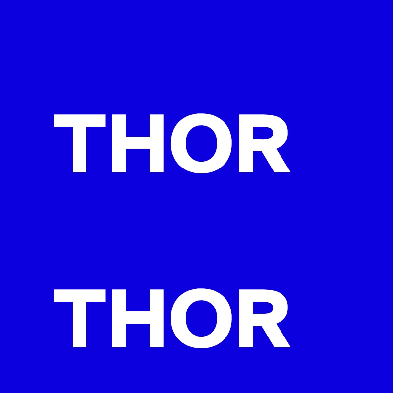 
  THOR

  THOR