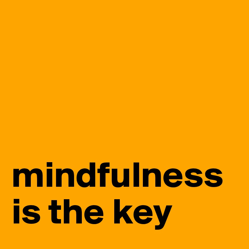 



mindfulness is the key