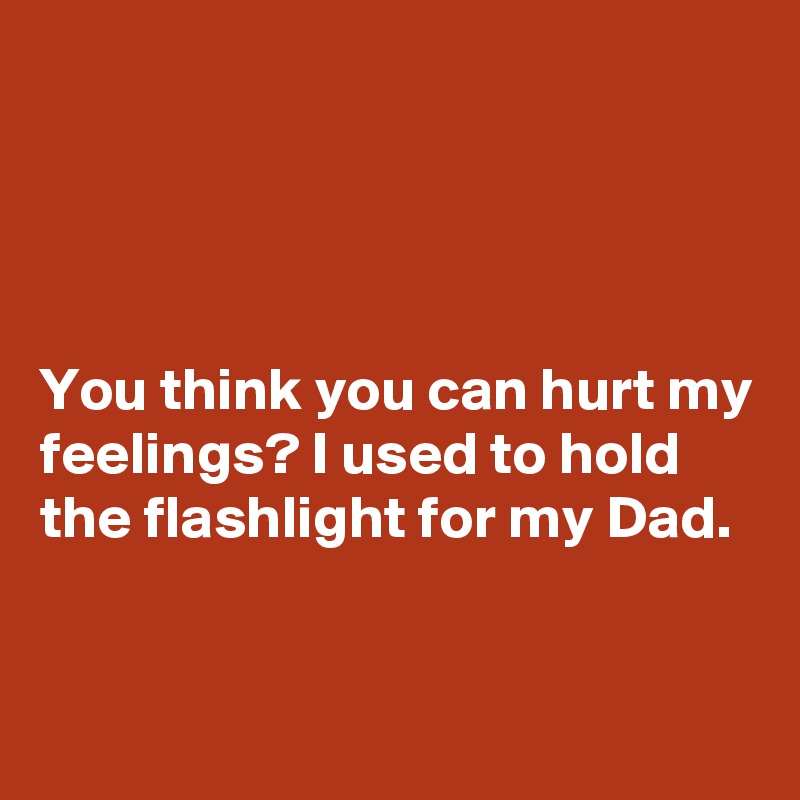 




You think you can hurt my feelings? I used to hold the flashlight for my Dad.


