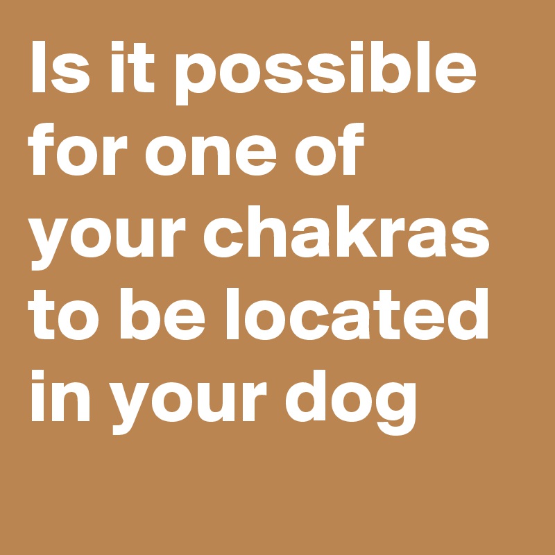 Is it possible for one of your chakras to be located in your dog