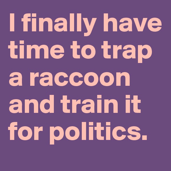 I finally have time to trap a raccoon and train it for politics.