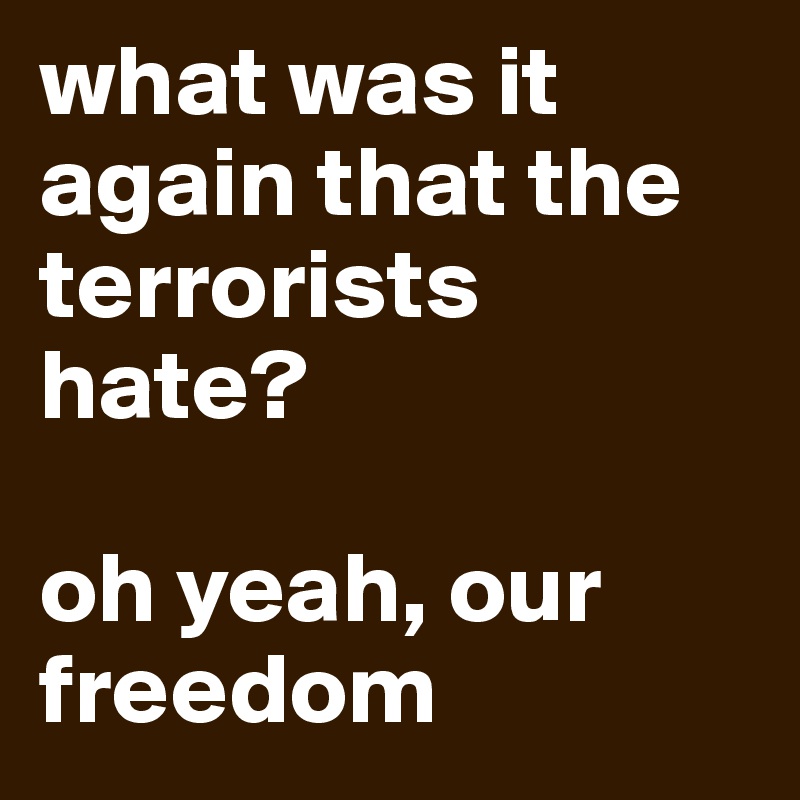 what was it again that the terrorists hate?

oh yeah, our freedom