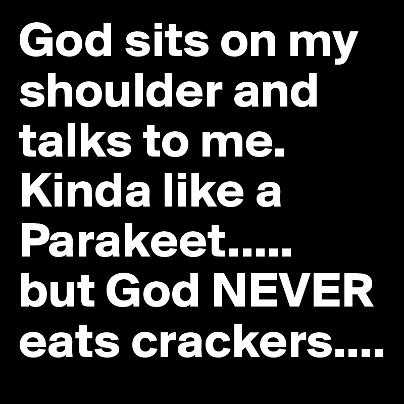 God sits on my shoulder and talks to me. Kinda like a Parakeet..... 
but God NEVER eats crackers....