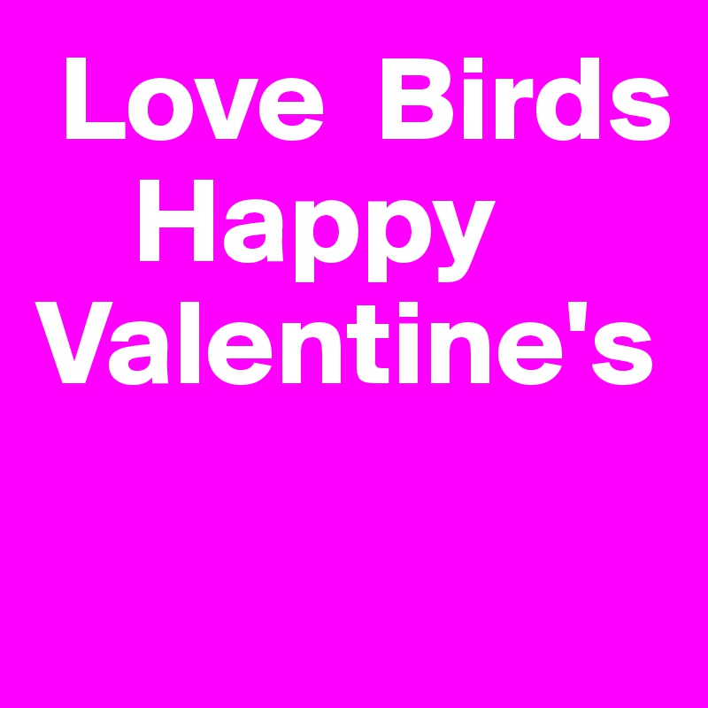  Love  Birds
    Happy Valentine's

