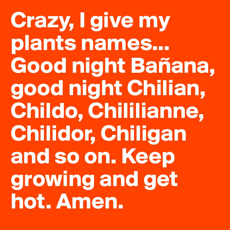 Crazy, I give my plants names... Good night Bañana, good night Chilian, Childo, Chililianne, Chilidor, Chiligan and so on. Keep growing and get hot. Amen.
