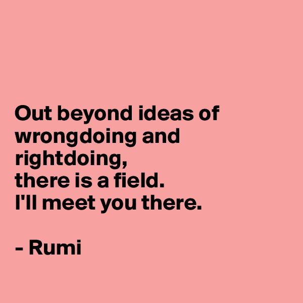 



Out beyond ideas of wrongdoing and rightdoing, 
there is a field. 
I'll meet you there.

- Rumi
