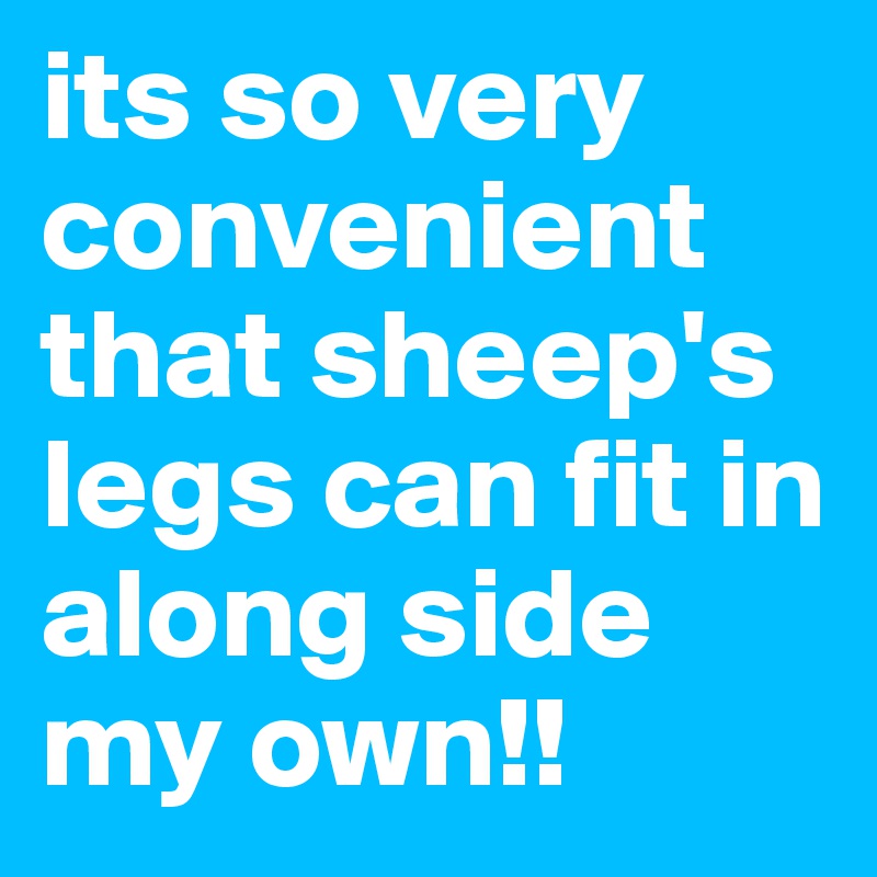 its so very convenient that sheep's legs can fit in along side my own!!