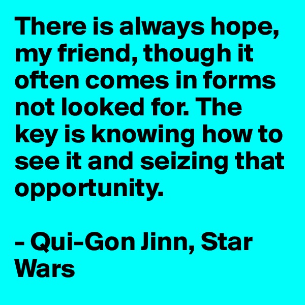 There is always hope, my friend, though it often comes in forms not looked for. The key is knowing how to see it and seizing that opportunity.

- Qui-Gon Jinn, Star Wars