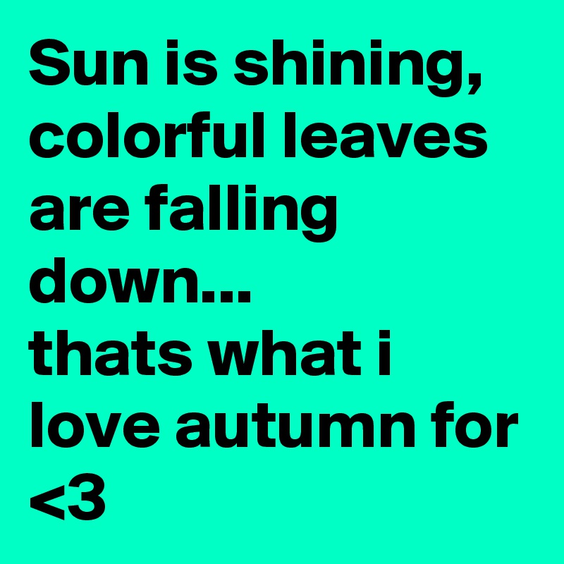 Sun is shining, colorful leaves are falling down...
thats what i love autumn for
<3