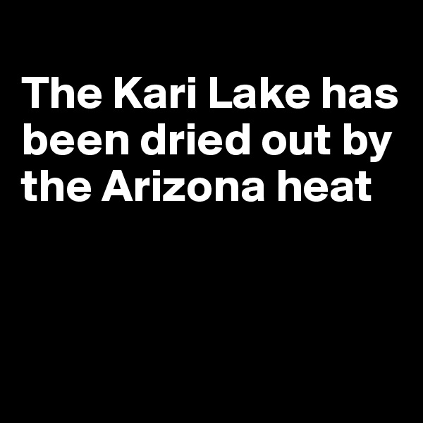 
The Kari Lake has been dried out by the Arizona heat



