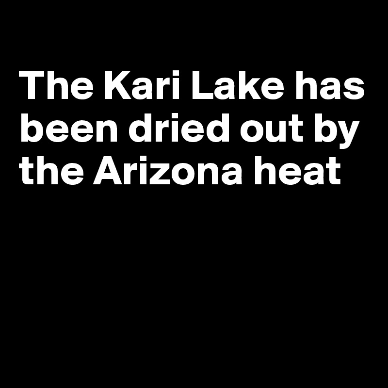 
The Kari Lake has been dried out by the Arizona heat



