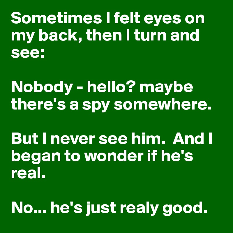 Sometimes I felt eyes on my back, then I turn and see:

Nobody - hello? maybe there's a spy somewhere. 

But I never see him.  And I began to wonder if he's real.

No... he's just realy good. 