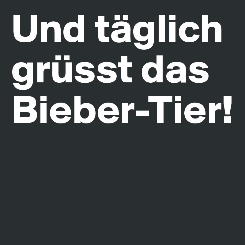 Und täglich grüsst das Bieber-Tier!

