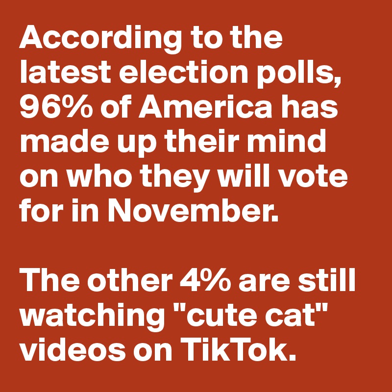 According to the latest election polls, 96% of America has made up their mind on who they will vote for in November. 

The other 4% are still watching "cute cat" videos on TikTok.