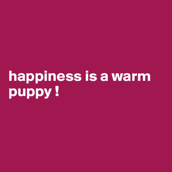 



happiness is a warm             puppy ! 



