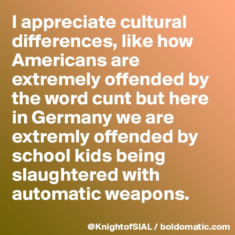 I appreciate cultural differences, like how Americans are extremely offended by the word cunt but here in Germany we are extremly offended by school kids being slaughtered with automatic weapons. 
