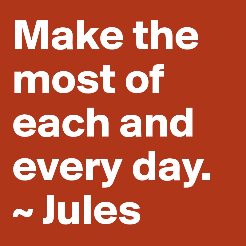 Make the most of each and every day. ~ Jules 