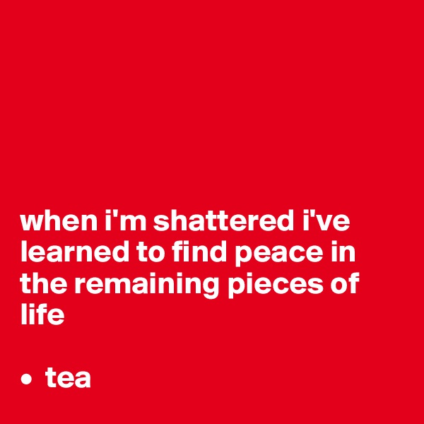 





when i'm shattered i've learned to find peace in the remaining pieces of life
      
•  tea