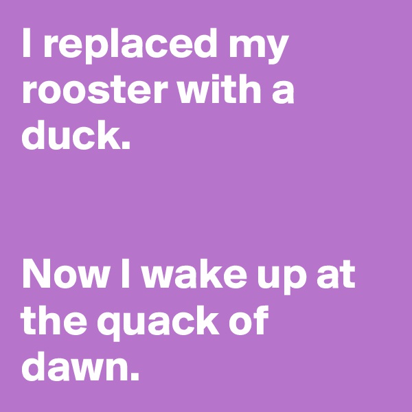 I replaced my rooster with a duck.


Now I wake up at the quack of dawn.