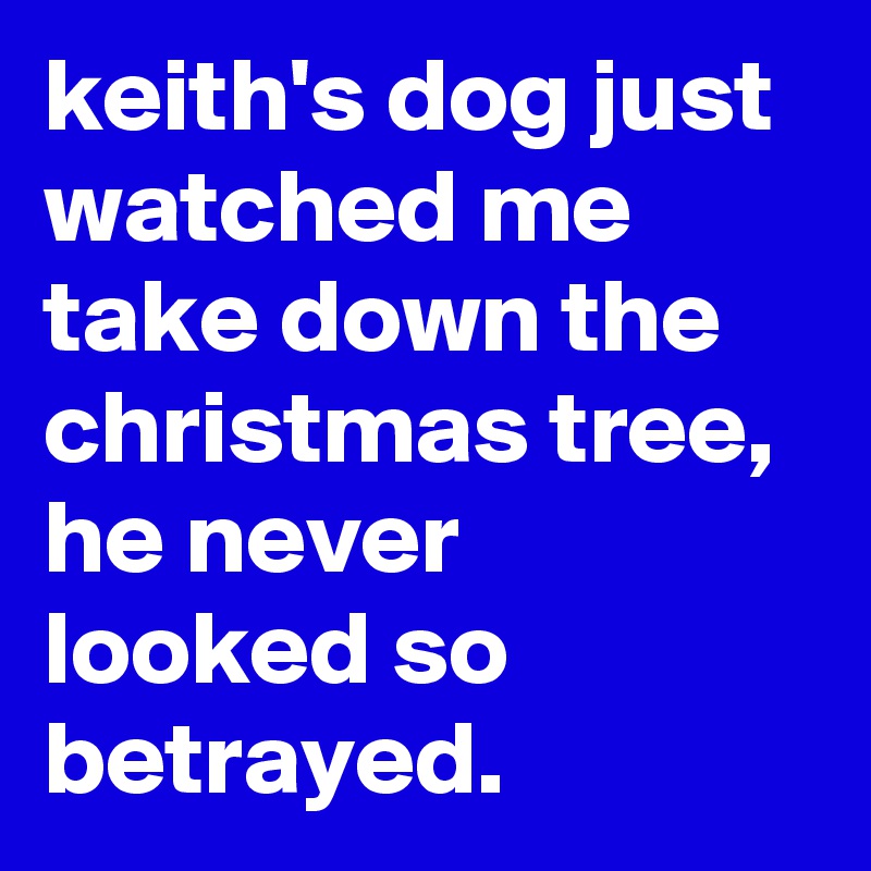 keith's dog just watched me take down the christmas tree, he never looked so betrayed.