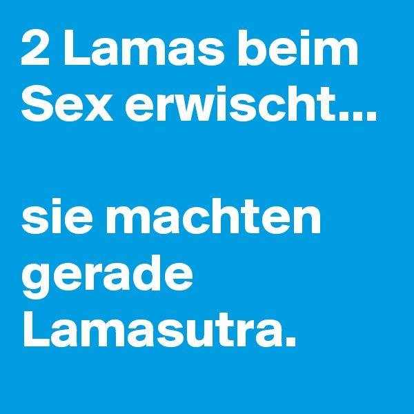 2 Lamas beim Sex erwischt...

sie machten gerade Lamasutra.