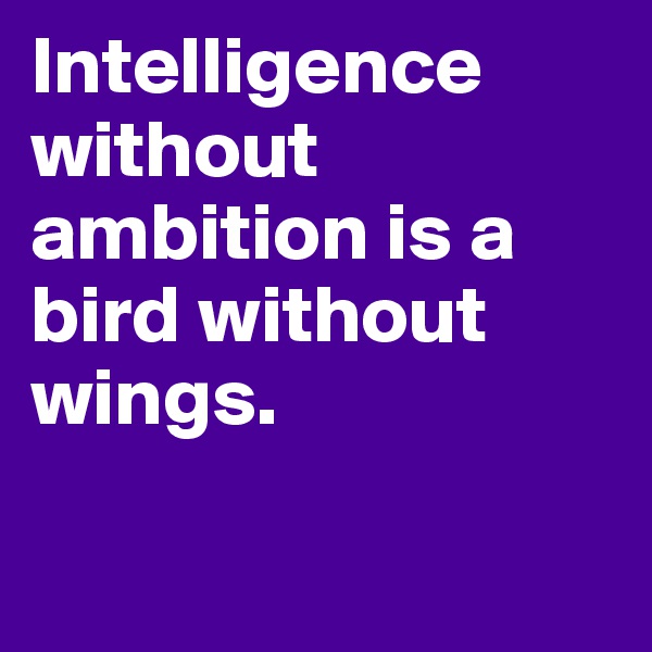 Intelligence without ambition is a bird without wings.

