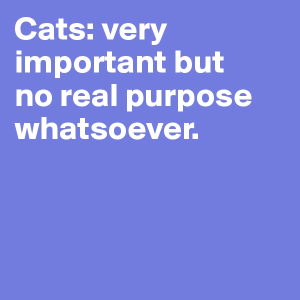 Cats: very important but 
no real purpose whatsoever.



 
