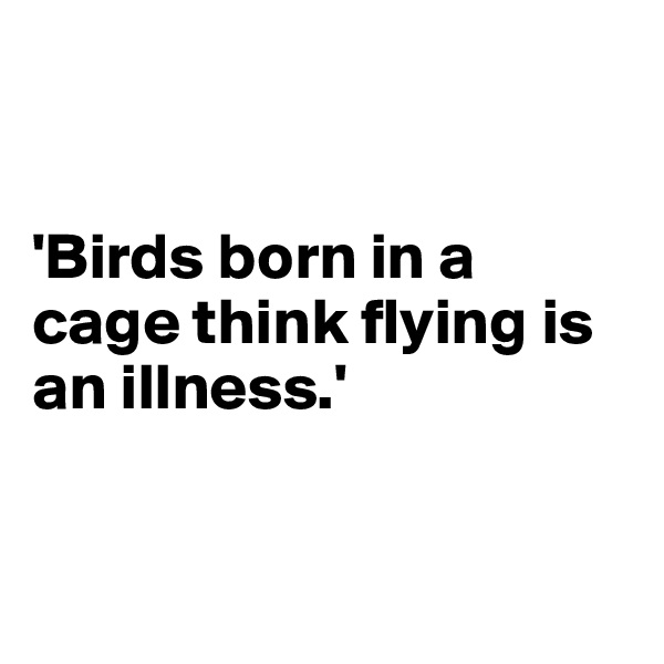 


'Birds born in a cage think flying is an illness.'


