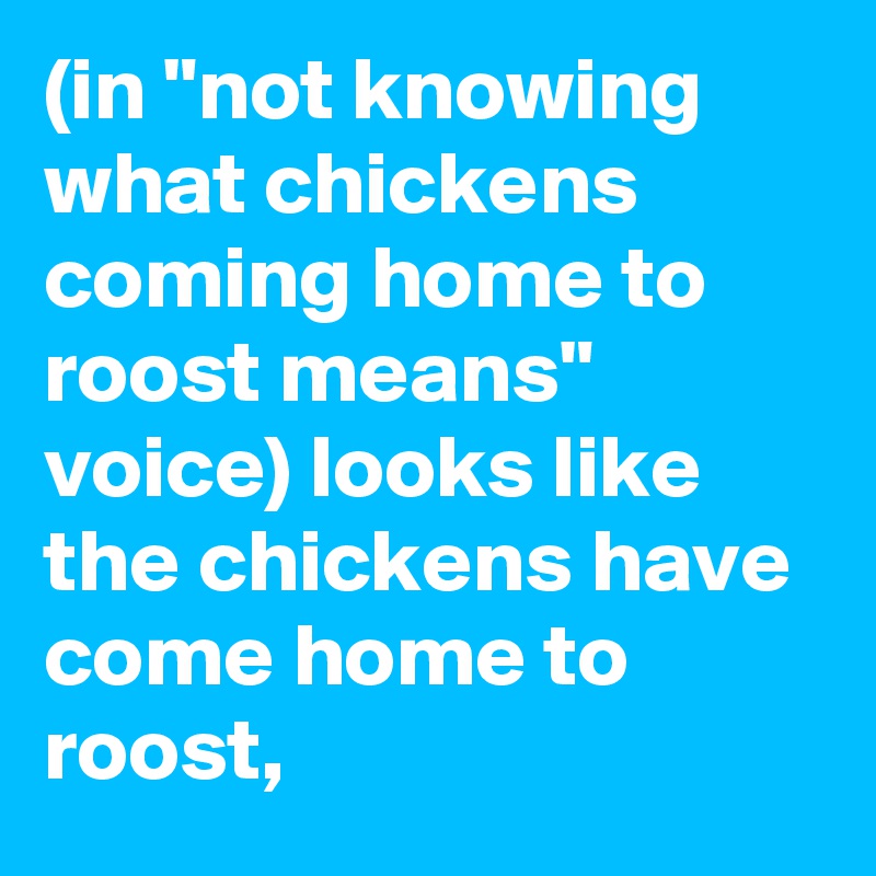 (in "not knowing what chickens coming home to roost means" voice) looks like the chickens have come home to roost,