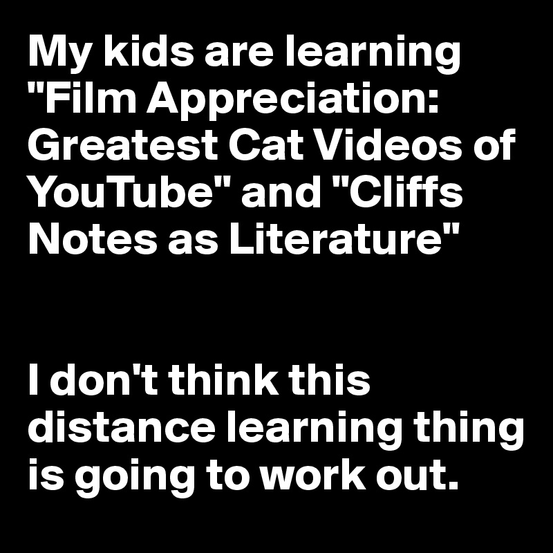 My kids are learning "Film Appreciation: Greatest Cat Videos of YouTube" and "Cliffs Notes as Literature"


I don't think this distance learning thing is going to work out.