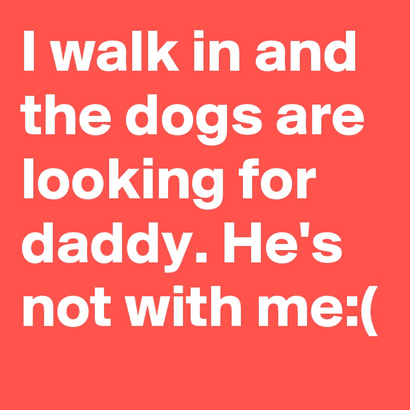 I walk in and the dogs are  looking for daddy. He's not with me:(