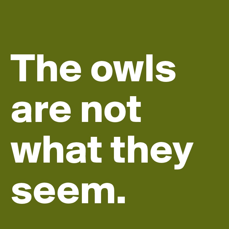 
The owls are not what they seem.