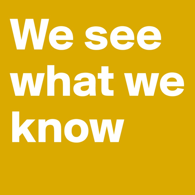 we-see-what-we-know-post-by-ziya-on-boldomatic