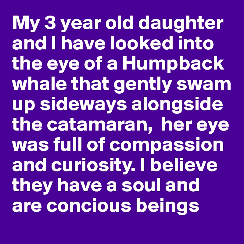 My 3 year old daughter and I have looked into the eye of a Humpback whale that gently swam up sideways alongside the catamaran,  her eye was full of compassion and curiosity. I believe they have a soul and are concious beings 