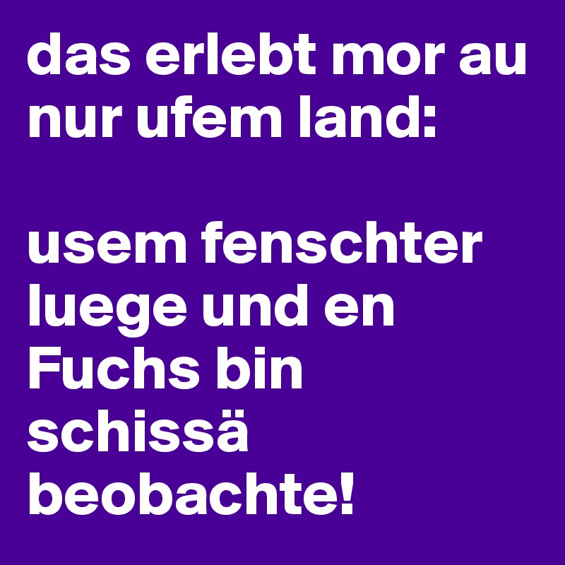 das erlebt mor au nur ufem land: 

usem fenschter luege und en Fuchs bin schissä beobachte! 