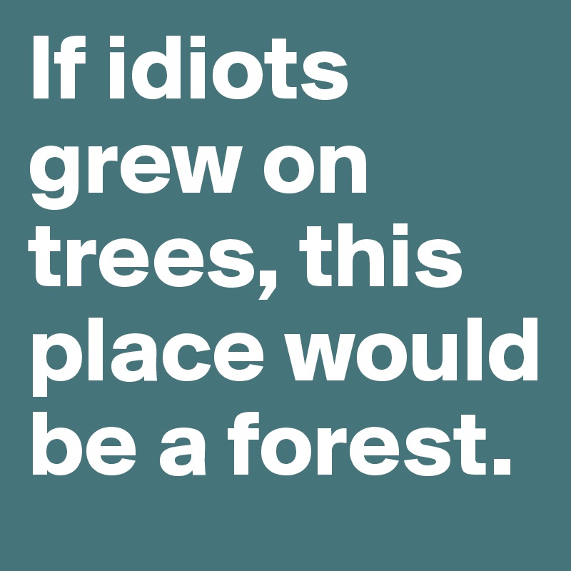 If idiots grew on trees, this place would be a forest.
