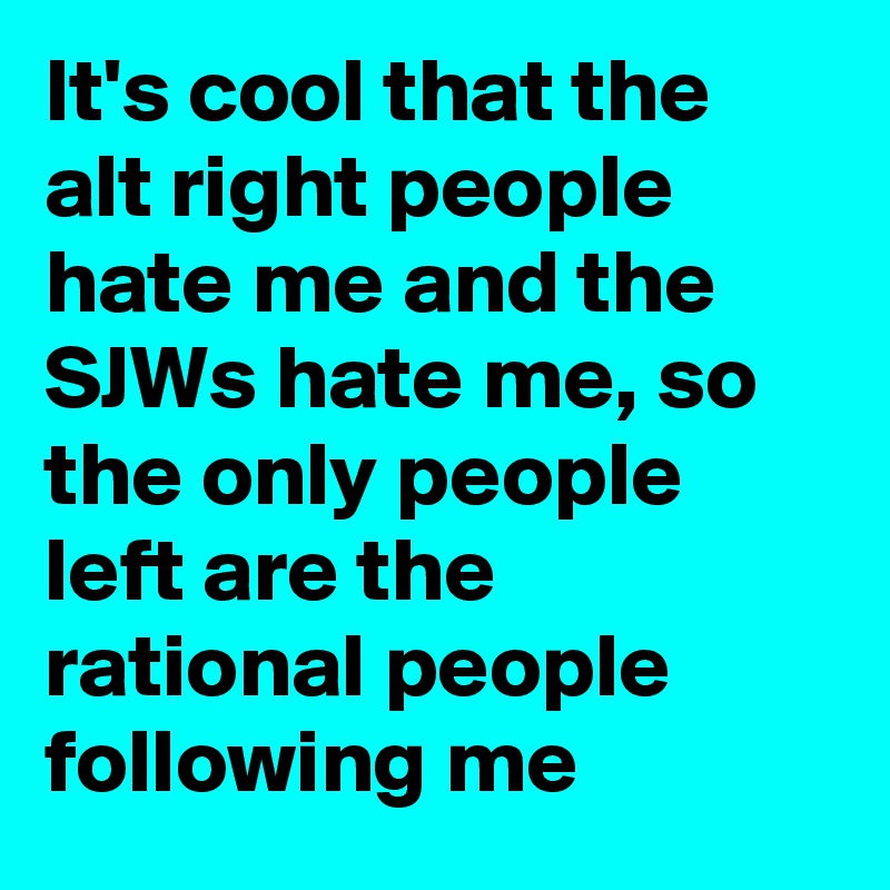 It's cool that the alt right people hate me and the SJWs hate me, so the only people left are the rational people following me