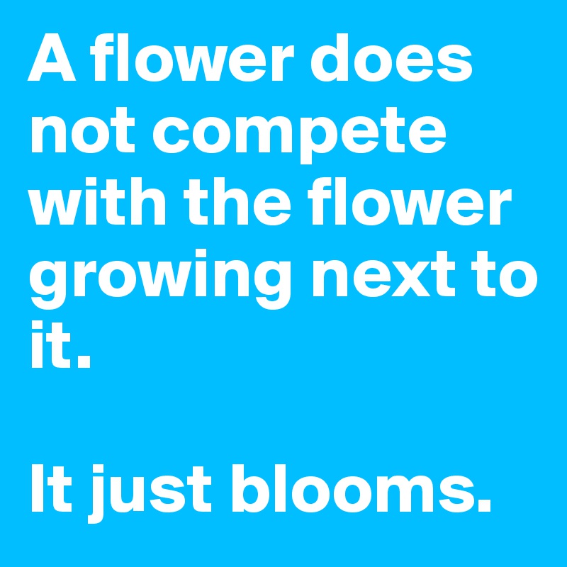 A flower does not compete with the flower growing next to it. 

It just blooms. 