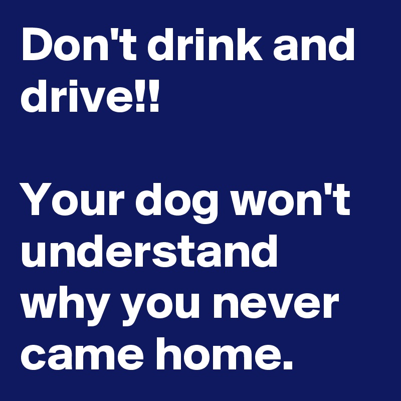 Don't drink and drive!!

Your dog won't understand why you never came home.
