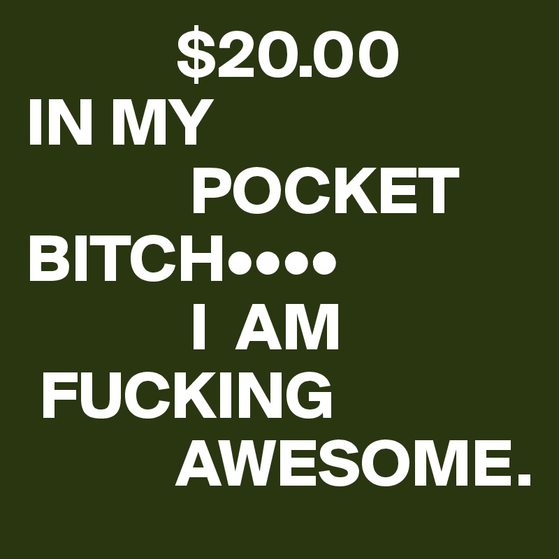            $20.00
IN MY
            POCKET BITCH••••
            I  AM
 FUCKING
           AWESOME.