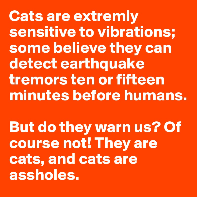 cats-are-extremly-sensitive-to-vibrations-some-believe-they-can-detect